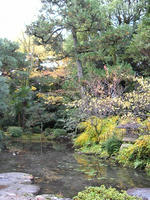 s-DSCN6717.jpg