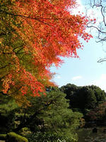 s-DSCN6734.jpg
