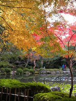s-DSCN6759.jpg