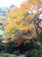 s-DSCN6760.jpg