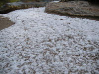 s-DSCN6773.jpg