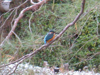 s-DSCN6842.jpg