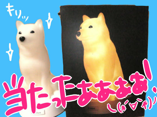 光ってしゃべるんDA☆ZE！！