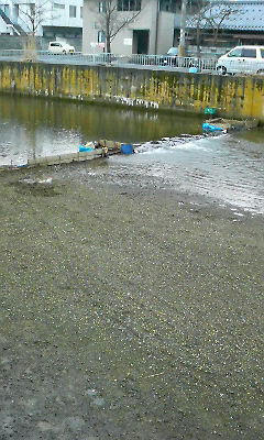P1000033.JPG