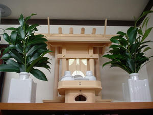 DSC00020.jpg