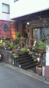 P1000775.jpg