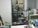 IMGA1557.JPG