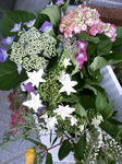 PA0_0091.JPG