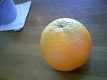 PA0_0100.JPG