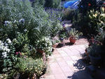 PAP_0165.JPG