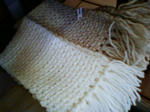 PAP_0684.JPG