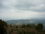 P1000402.jpg