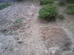 PAP_0027.JPG