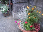 PAP_0029.JPG