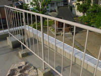 DSC00037.jpg