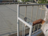 DSC00038.jpg