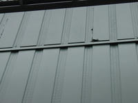 DSC00043.jpg