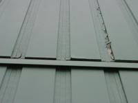 DSC00045.jpg