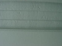 DSC00046.jpg