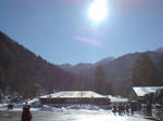 山