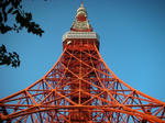 東京タワー2010
