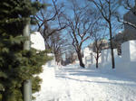 2011雪祭り準備