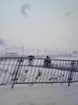 NEC_0231.JPG