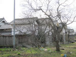 9d02608b.JPG