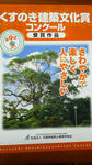 NEC_0330.jpg