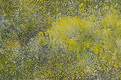 Emily Kngwarreye02