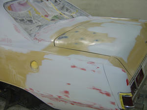 DSC05412.JPG