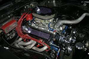 IMG_8136.JPG