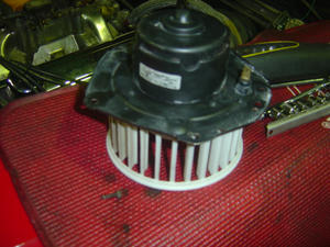 DSC05486.JPG