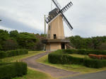 DSCN1457.jpg