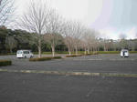 DSCN1475.JPG