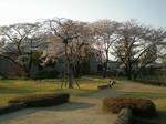 DSCN1823.JPG