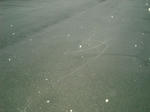 DSCN2615.JPG