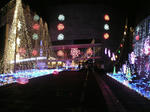 DSCN2776.JPG