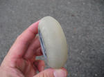 CIMG0168.JPG