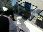 P1010065.JPG