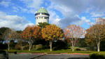 P1000001.JPG