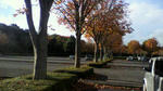 P1000002.jpg