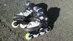 P1000004.jpg