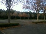 P1010002.JPG