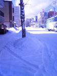 201202191050000.jpg