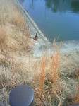 201202281223001.jpg