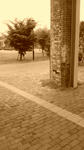 120615_134627.jpg