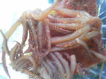 fe789856.jpg