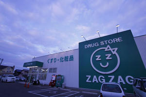 zagzag.JPG