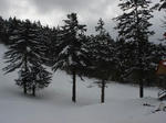 DSC05589.JPG